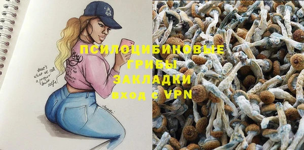 гашиш Богородск