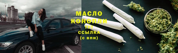 индика Беломорск