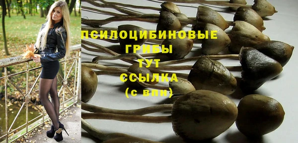 дмт Белоозёрский
