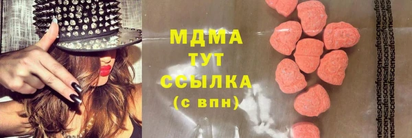 индика Беломорск